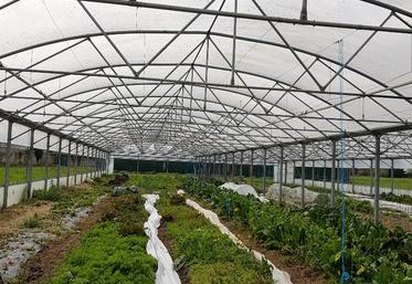 Jeudi 6 avril, le groupe technique des PAI de la région a d'abord visité les serres de l'espace-test de l'Agrocampus de Tours-Fondettes. 