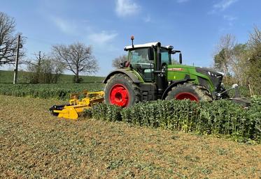 Les fraises rotatives s’utilisent à 4 ou 6 km/h selon la qualité du travail souhaité.
