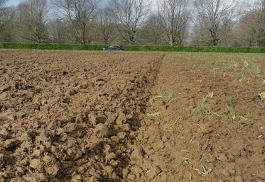 « Il faut arrêter le combat labour-sans labour. Il n’y a pas de bons ou mauvais moyens de travailler le sol. Il y a seulement des choix à faire en fonction de ses objectifs », explique Julien Hérault, expert en agroéquipement 