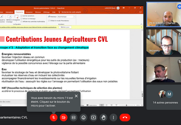 Une douzaine de parlementaires a assisté à cette visioconférence organisée par JA CVL. 