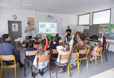 Mardi 11 avril, à Sours. Les élèves de l'école primaire se sont montrés très curieux sur le travail des abeilles durant l'intervention des étudiants de La Saussaye.