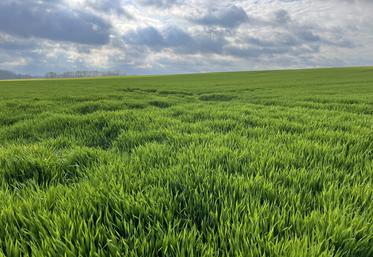 Les opérations qui nécessitent une autorisation d'exploiter sont l'installation, l'agrandissement ou la réunion d'exploitations au-delà du seuil de contrôle.