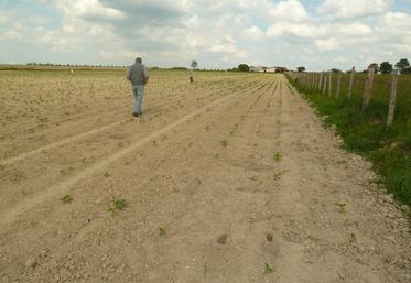 L'abandon de poste est caractérisé par une sortie non autorisée ou des absences injustifiées du salarié pendant les heures de travail.