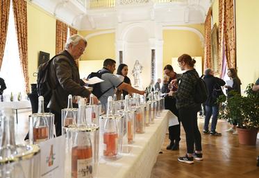 Mercredi 26 avril, à Blois. De nombreux journalistes de la presse spécialisée étrangère ont goûté le nouveau millésime 2022 lors de la 5e édition de Val de Loire Millésime.