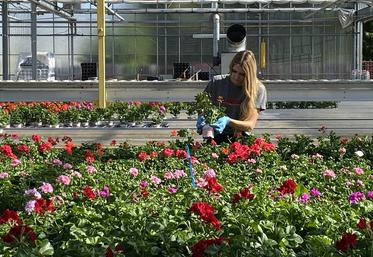 L'insertion se présente comme une opportunité pour l'emploi de salariés agricoles.