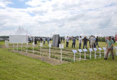 Rendez-vous le 9 juin à Arrou pour les Rencontres agronomiques Axéréal.
