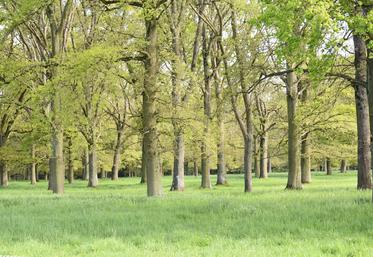 Le prochain appel à projet est ouvert jusqu'au 30 juin.