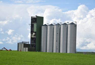 À Léouville, les premières cellules du silo de la coopérative d'AgroPithiviers sont en place. Au total, quinze cellules seront installées : cinq de 1 000 tonnes et dix de 500.