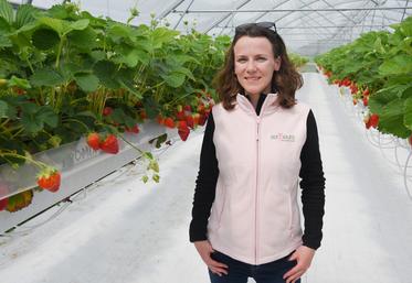 Le 11 mai, à Fontaine-la-Guyon. Pour les amateurs de saveurs locales, Rozenn Brochard produit fraises et framboises.