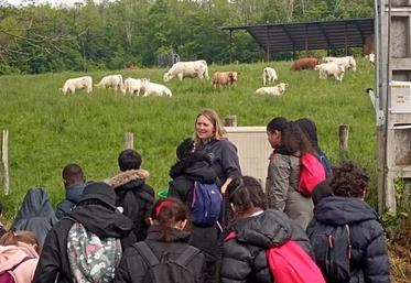 Jeudi 11 mai, à Guérard (Seine-et-Marne). Sophie Désert fait visiter son élevage à de petits citadins.