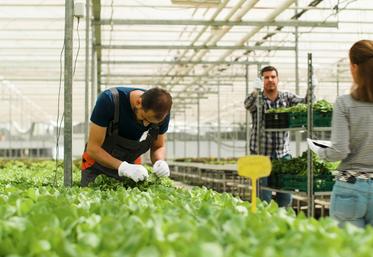 Tout employeur d’au moins vingt salariés a l’obligation d’employer 6 % de salariés bénéficiant de la reconnaissance de travailleur handicapé.