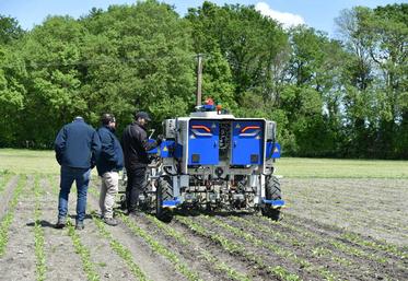 Présenté pour la première fois par l'ITB, le Bluebob est un robot de désherbage autonome capable de distinguer betteraves et adventices.