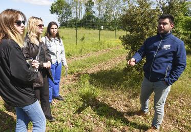 Le 16 mai, à Pruneville. Lorsque nous avons rencontré Corentin Chateigner, il recevait sur sa ferme trois étudiantes en géographie à la Sorbonne, venues étudier l'Eure-et-Loir.