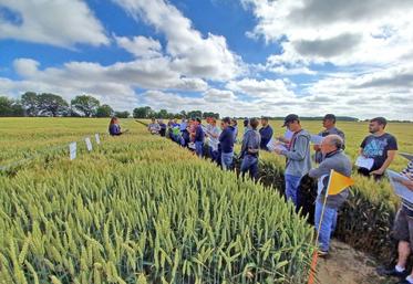 Tous les agriculteurs peuvent venir aux visites d'essais organisées par la Chambre d’agriculture de Loir-et-Cher. 