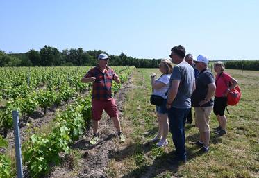 Dimanche 28 mai, à Rilly-sur-Loire. Gilles Tamagnan, gérant du Domaine des Pierrettes, a présenté ses vignes à l'occasion du pique-nique des Vignerons indépendants.