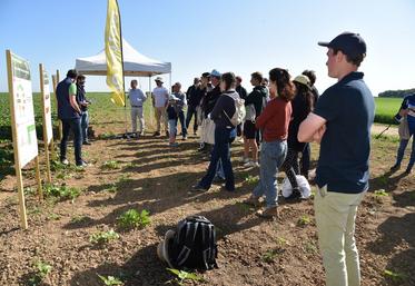 À Étampes (Essonne), mercredi 31 mai lors de la plateforme dédiée à l'agriculture biologique.