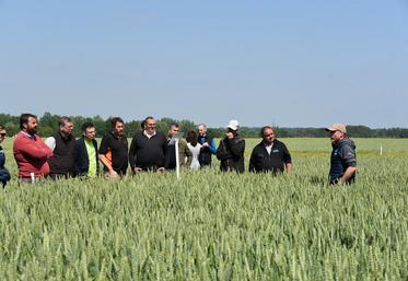 Sébastien Quentin, conseiller productions végétales à la chambre d'Agriculture, a accompagné les élus départementaux sur les différents essais de la plateforme. 