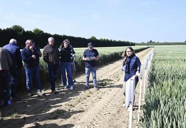 Vendredi 2 juin, à Nourray. Axéréal organisait ses Rencontres agronomiques avec des ateliers au champ.