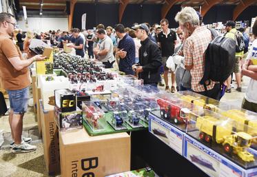 Dimanche 4 juin, à Chartres. Les visiteurs se sont pressés en nombre dès le matin pour la 30e édition du Salon européen de la miniature agricole.