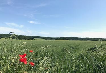 Le foncier et la valeur des parts sociales sont souvent au cœur des mésententes. 