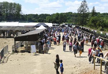 Quelque 25 000 personnes ont arpenté les allées durant les deux jours de comice à Thoré-la-Rochette les 10 et 11 juin. Le temps ensoleillé du dimanche a encouragé le public à découvrir les nombreux stands. 