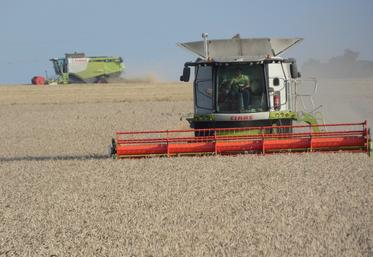 Un employeur peut, durant plusieurs saisons successives, embaucher la même personne, sans que la relation de travail ne soit requalifiée en CDI.