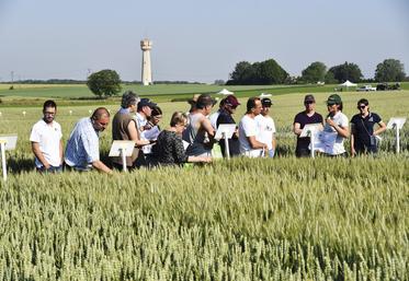 Gastins, jeudi 8 juin. La matinée était consacrée à la visite commentée des essais. 