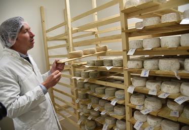 Mardi 16 mai, à Tancrou (Seine-et-Marne). Clément Moret au sein de la cave d'affinage des tommes de chèvre de la fromagerie fermière.