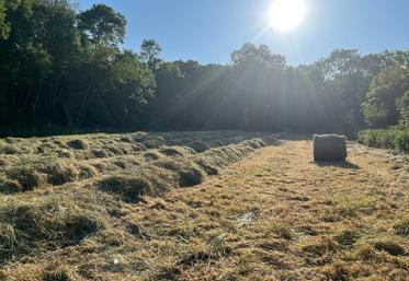 Les fourrages de cette année sont de très bonne qualité avec des quantités qui permettent aux éleveurs de refaire leurs stocks.