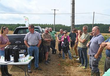 Mardi 20 juin, à Saint-Lubin-en-Vergonnois. La chambre d'Agriculture a organisé une demi-journée technique consacrée au chanvre.
