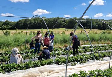 La formation sur les auxiliaires de culture proposera quelques cas pratiques.