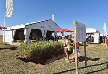 Comme en 2018 ou 2021 (notre photo), ateliers et animations se succéderont au stand C53 au village Agroécologie. 