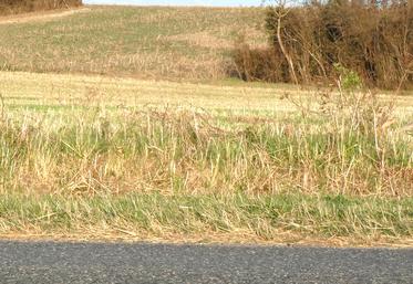 Le désenclavement doit être sollicité par le propriétaire du terrain enclavé, ou par une personne qui dispose d’un droit réel sur ce terrain.