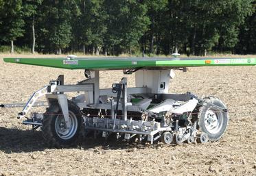 À ce jour, le robot Farmdroid FD20 peut semer et désherber. Mais ses concepteurs aspirent à le faire évoluer rapidement vers d’autres tâches.