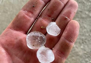 Sur un couloir d'un kilomètre de large et près de quarante kilomètres de long, la grêle a causé d'importants dégâts dans les champs.