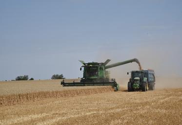 Mardi 18 juillet, à Berchères-les-Pierres. Les rendements de la campagne en cours sont très hétérogènes.