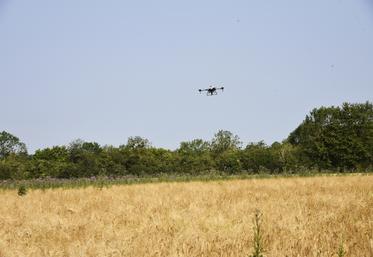 Après avoir cartographié la parcelle, le drone gère le semis en autonomie par bande de 6 mètres et vole à 6 mètres de haut.