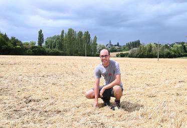 Baptiste Mallangeau, céréalier à Coulommiers-la-Tour, constate des rendements hétérogènes d’une parcelle à l’autre.