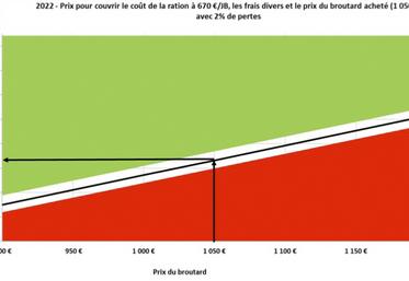 Schéma 1. Prix de vente minimum du JB par kg de carcasse pour couvrir le coût opérationnel (sur la base d’un coût de 796 e/JB) en fonction du prix du broutard (320 kg net).
