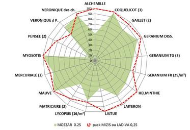 Efficacités comparées des solutions Mozzar et Ladiva (ou pack Mizis) appliquées dès le 1er octobre sur un colza à 4 feuilles ou plus. Source : essais désherbage Terres Inovia 2021-2023.