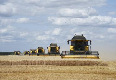 Le 21 juillet, à Thimert-Gâtelles. 55 mètres de coupe et pas moins de 3 050 CV pour cette démonstration XXL de moissonneuses-batteuses organisée par le groupe Lecoq.