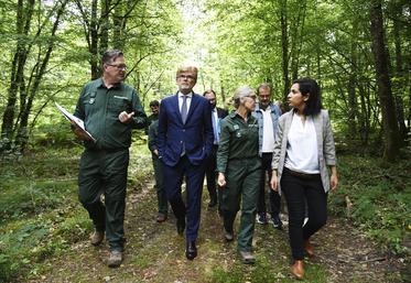 Les deux représentants de l'État ont d'abord visité un îlot d'avenir de plus d'un hectare, composé de chênes pubescents, en forêt domaniale d'Orléans. 
