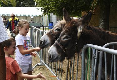 Habituellement prévue uniquement le dimanche, la fête de l'âne a démarré exceptionnellement le samedi à 14 h 30, pour le plus grand bonheur des enfants.