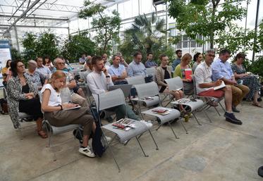 Le 13 juin à Saint-Nom-la-Bretèche (Yvelines) lors du comité de filière sorti-pépi Île-de-France. 
