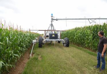 Le 31 juillet, à Prasville (Eure-et-Loir). Aurélien Pichard est content de son investissement : à gauche son maïs arrosé avec un canon, à droite, la même variété arrosée avec sa rampe…