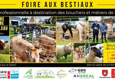Les inscriptions pour la foire aux bestiaux de Mondoubleau le 8 octobre prochain sont ouvertes. 