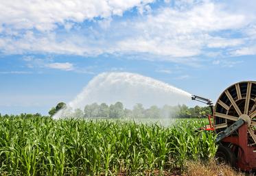 Irristop détermine le moment opportun pour stopper l’irrigation à la parcelle.