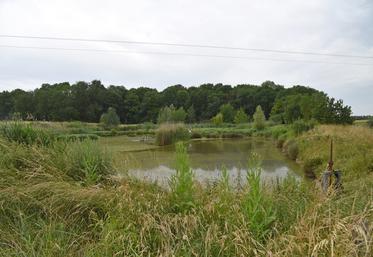 Rampillon, fin juin. Aménagement du bassin de la zone humide de Rampillon.