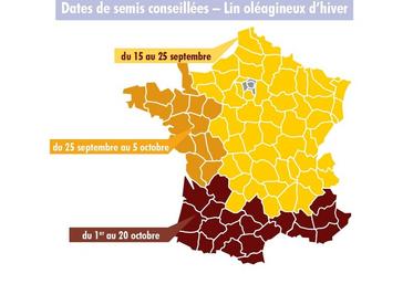 Dates de semis conseillées du lin oléagineux d'hiver.