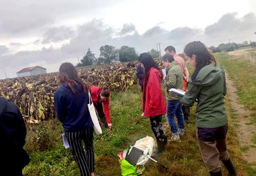 Mardi 12 septembre, les partenaires Agrifaune se sont réunis dans le Loiret pour préciser les enjeux agroécologiques des bordures de champs.